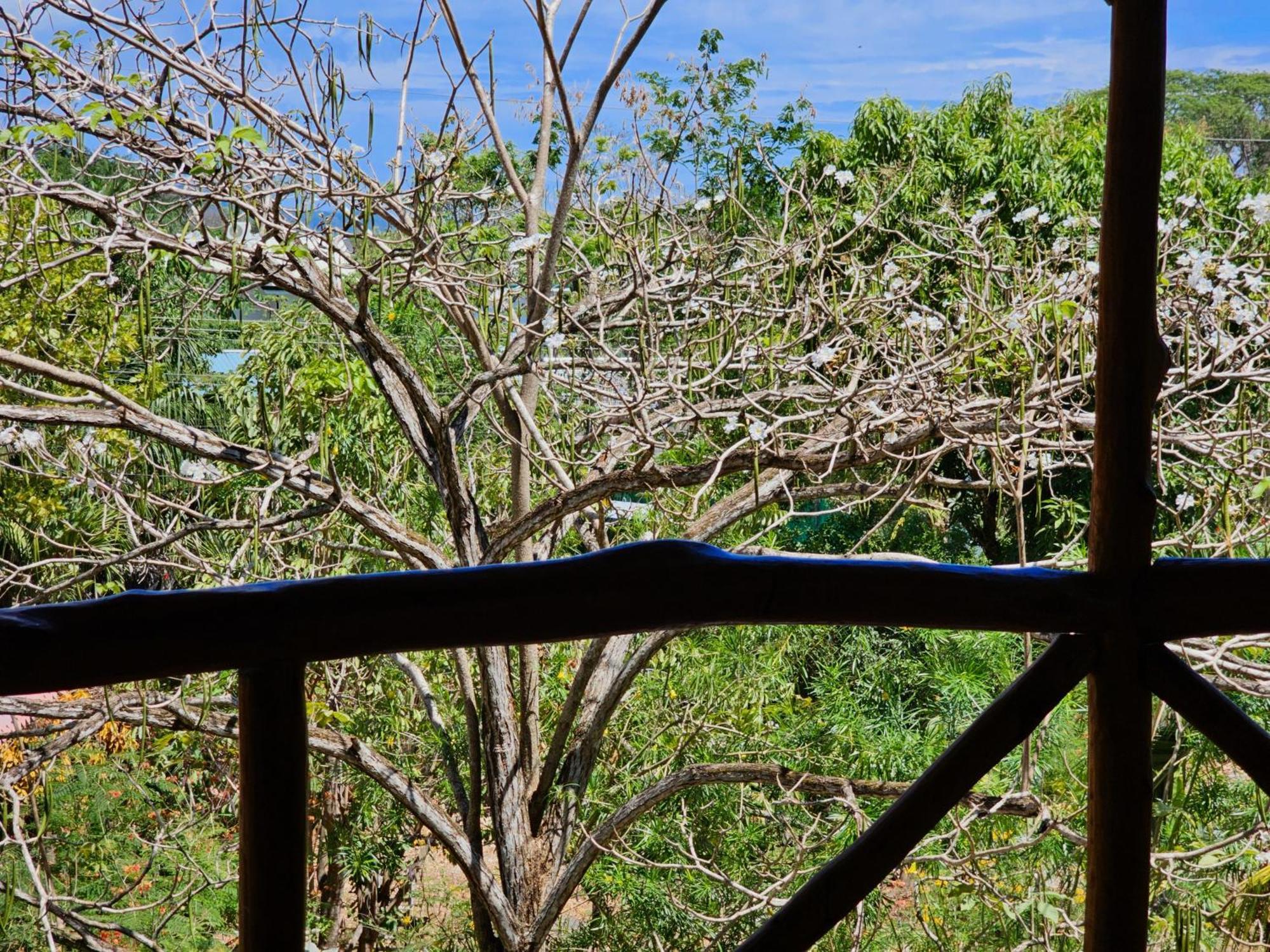 Don Jon'S Surf And Yoga Lodge Playa Santa Teresa  Esterno foto